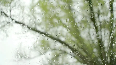 Rain drops Video stock 74570676