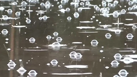 Rain drops Stock Footage 77571964