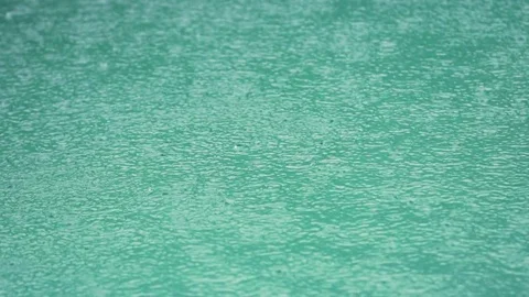 Rain Drops Stock Footage 79731541