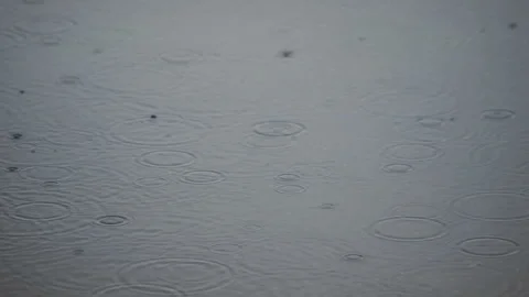 Rain Drops Video stock 89155445