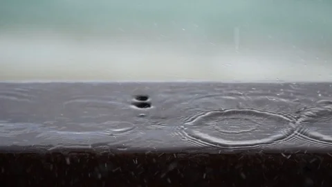 Rain drops Video stock 98307556