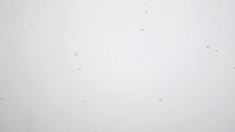 Rain Drops Stock Footage 107721666