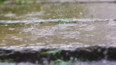 Rain drops Stock Footage 113860854