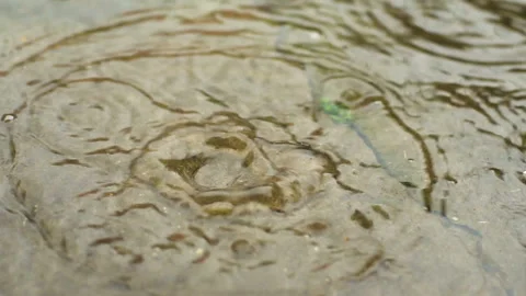 Rain drops Stock Footage 113860974