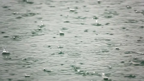 Rain drops  Stock Footage 125084270