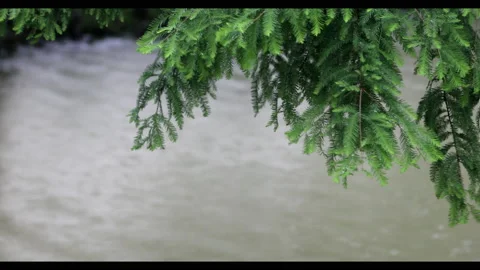 Rain Drops Vídeos de archivo 130485580