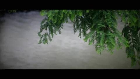 Rain Drops Vídeos de archivo 130485764