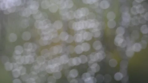 Rain drops Stock Footage 132172428