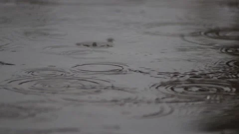Rain Drops Vídeo Stock 136404450