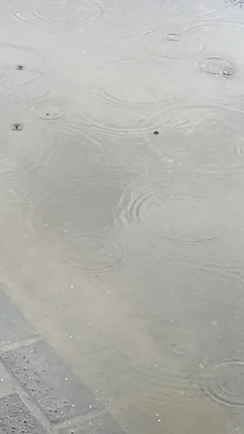 RAIN DROPS Stock Footage 144489296