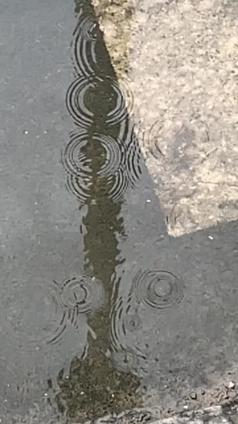 RAIN DROPS Stock Footage