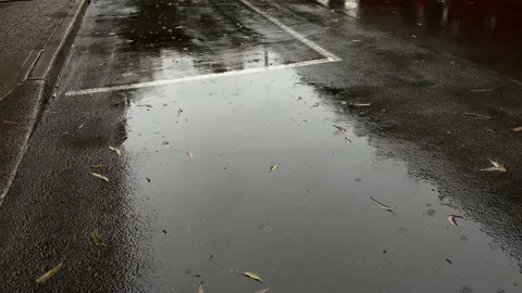 Rain Drops Stock Footage 151129258