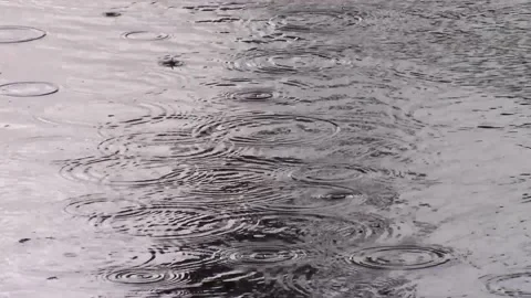 Rain Drops Stock Footage 154557544