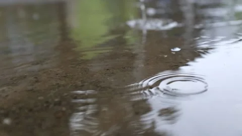 Rain Drops Stock Footage 201878167