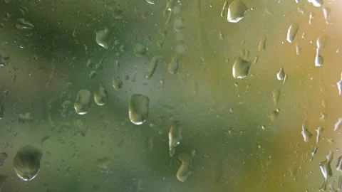Rain drops Stock Footage 216018534