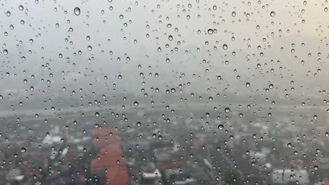 Rain Drops Stock Footage 239594696