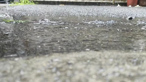 Rain drops Video stock 274108684