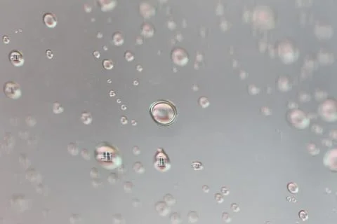 Rain drops on glass background. Stock Photos