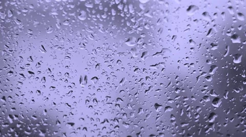 Rain drops on glass Stock Footage 48842097