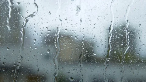 Rain drops on the glass Stock Footage 81232725