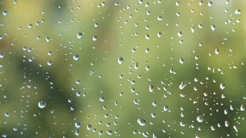 Rain drops on glass on window and green trees in blur on background, closeup. Video stock 146397831