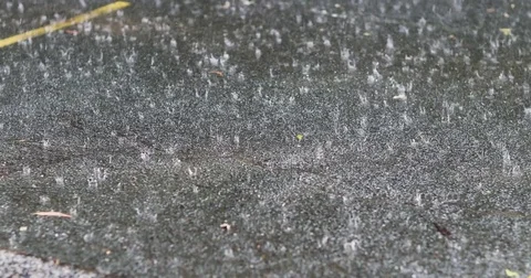 Rain drops on the ground close up pouring rain summer day Stock Footage 81160337