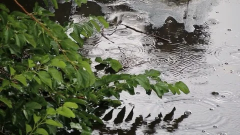 Rain Drops on the ground with leaves Stockbeeldmateriaal 102386700