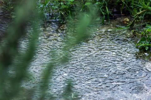 Rain drops on ground Stock Photos