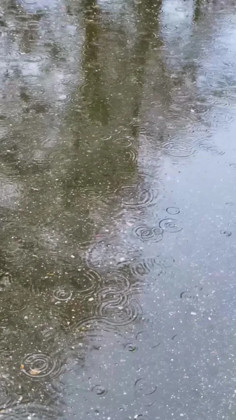 Rain drops hitting puddle on asphalt creating expanding ripple circles across Stock Footage 330437684
