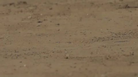 Rain drops impacting dry sandy dirt and splahing up slow motion Stock Footage 71112032