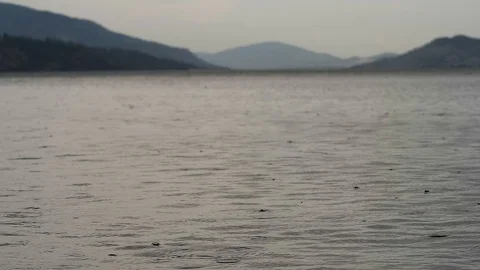 Rain Drops on lake Stock Footage 104227777