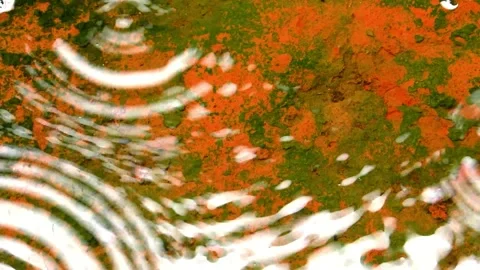 Rain drops lake Stock Footage 323974958