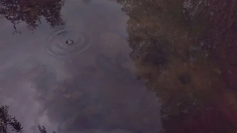 Rain drops on the lake sky reflection Stock Footage 141113130