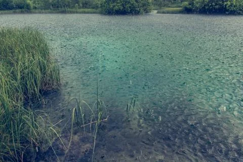Rain drops on lake surface. Stock Photos