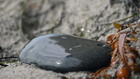 Rain Drops Landing On Rock Stock Footage 272509316