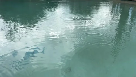Rain drops lightly into a pool with cactus in the reflection Stock Footage 318931320