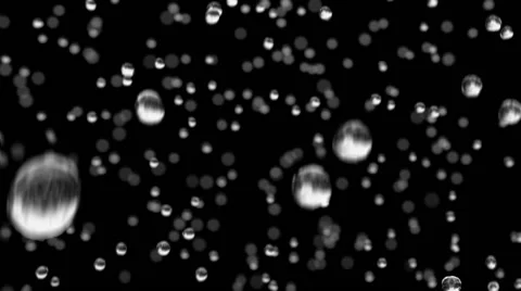 Rain Drops in Looped animation on Black ... | Stock Video | Pond5