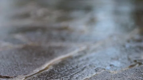 Rain drops macro moving focus Stock Footage 89038271