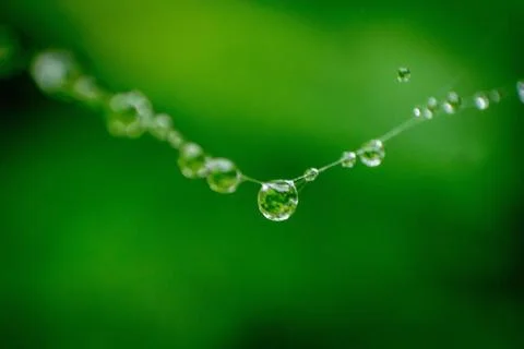 Rain Drops Micro Stock Photos