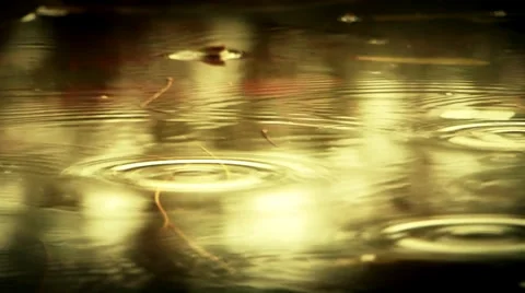 Rain drops motion. Video stock 33702862