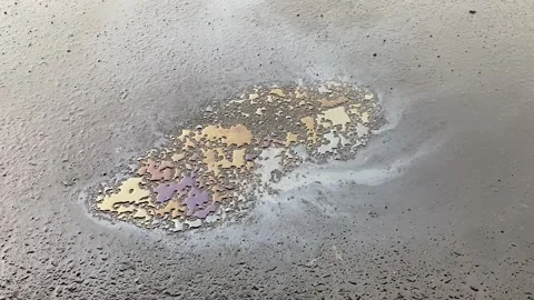 Rain drops on A multicolored spot from oil Stock Footage 296582648