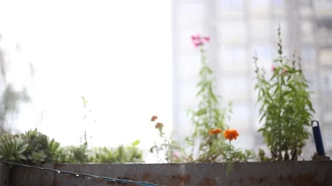 Rain drops on my balcony Stock Footage 90304946