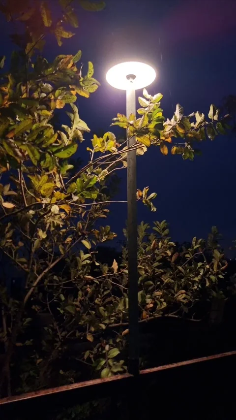 The rain drops at night, lamp post, and the trees Stock Footage 304052756