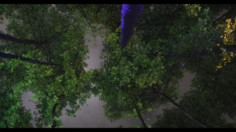 Rain Drops Night Time Stock Footage 303408492