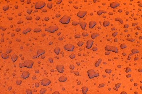 Rain drops on the orange floor Stock-Fotos