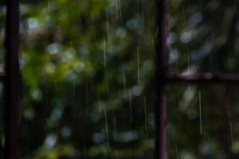 Rain drops outside window with trees in the background Stockfoto's