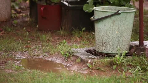 Rain Drops Over Bog Stock Footage 11865994