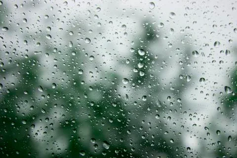 Rain drops Stock Photos