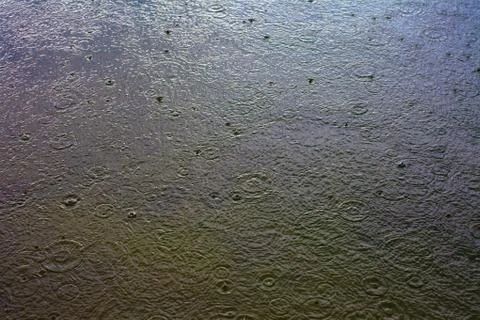 Rain drops Stock Photos