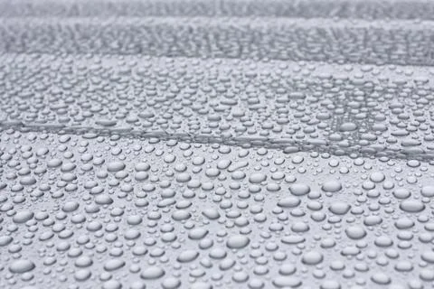 Rain drops Stock Photos